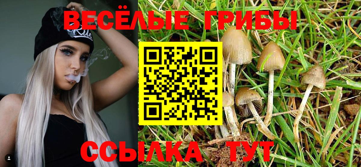 Галлюциногенные грибы Psilocybine cubensis Воркута